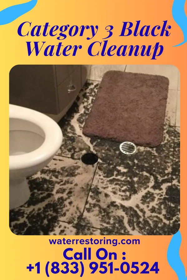 Category 3 Black Water Cleanup in Kiel, WI