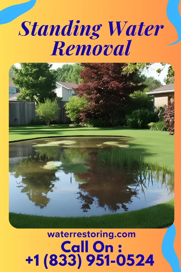 Standing Water Removal in Kiel, WI